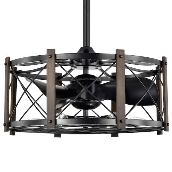 Warehouse of Tiffany Damon 24 in. Indoor Black Finish Ceiling Fan with Light Kit and Remote Included