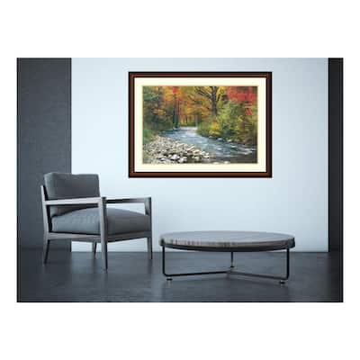 43 in. W x 32 in. H 'Forest Creek (i)' Printed Framed Wall Art