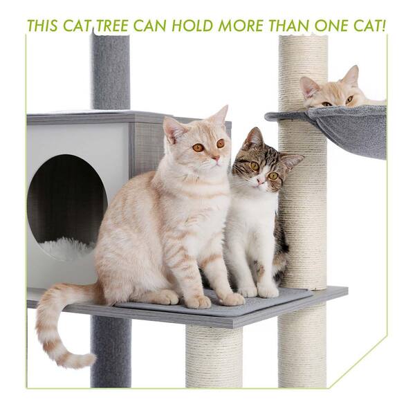 Single sale cat condo