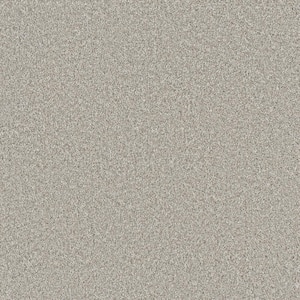 Hazelton I - Famed - White 40 oz. Polyester Texture Installed Carpet