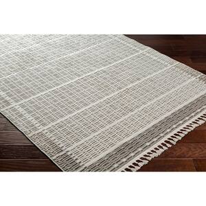 Finland Gray 2 ft. x 4 ft. Border Indoor Area Rug