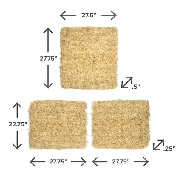 Champion Cooler Aspen Pad Set (1 Back Pad x x