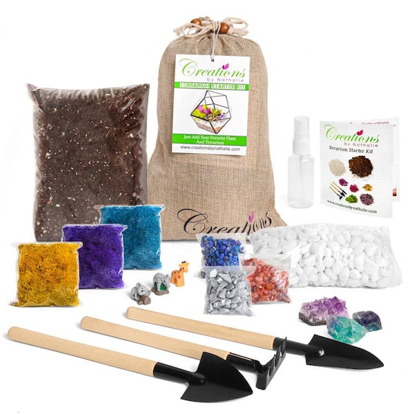 Creations by Nathalie Succulent and Cactus Terrarium Starter Kit - Includes Soil, Moss, Pebbles, Healing Crystal, Tools