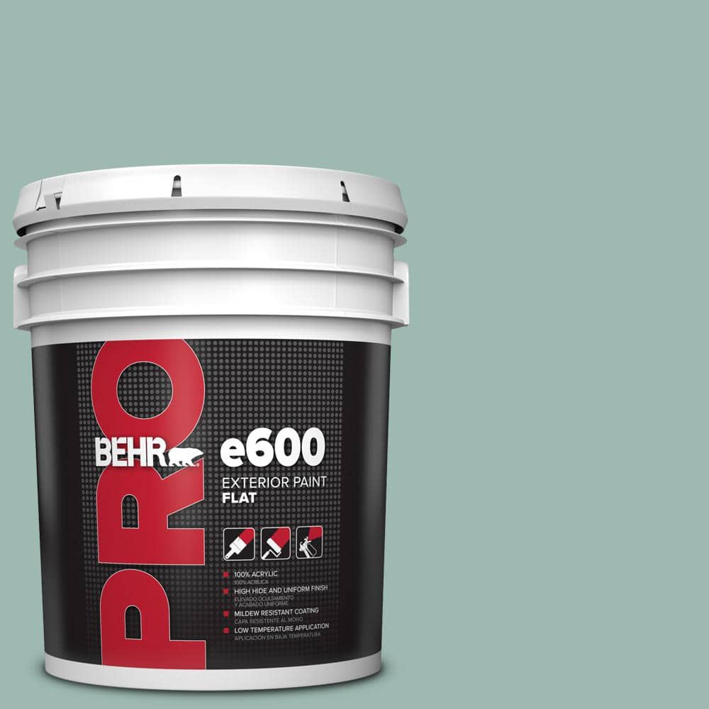 5 Gal. #PPU12-08 Opal Silk Flat Exterior Paint price history on PriceWatchPro
