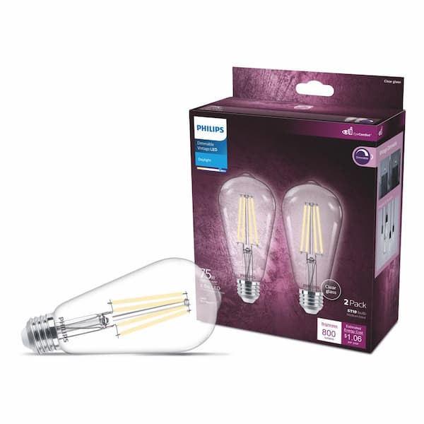 Philips 75-Watt Equivalent ST19 Clear Dimmable E26 Vintage Edison LED Light Bulb EyeComfort Technology Daylight 5000K (2-Pack)