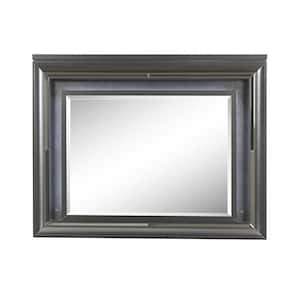 Sawyer 2 in. x 39 in. Modern Rectangle Framed Gray Decorative Mirror