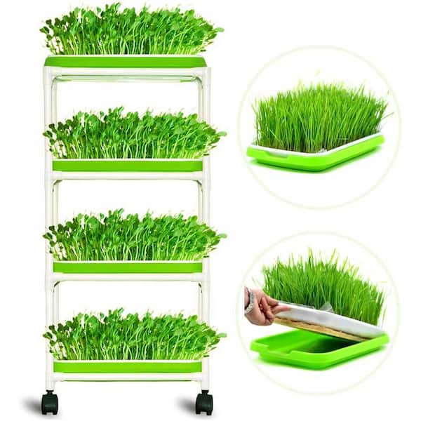 4-Layer Sprout Trays Extra Strength Plastic Shelf Soil-Free Wheatgrass Seeds Grower Storage Garden Home Office