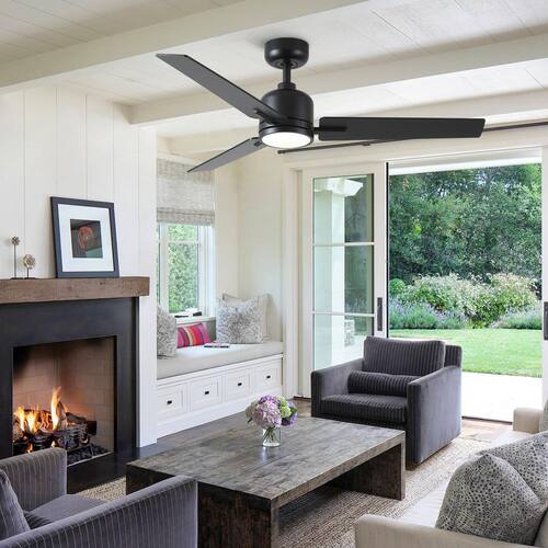 Kaleido 48 in. Indoor Matte Black Standard Ceiling Fan with Light and Dual-Finish Blades Ceiling Fans