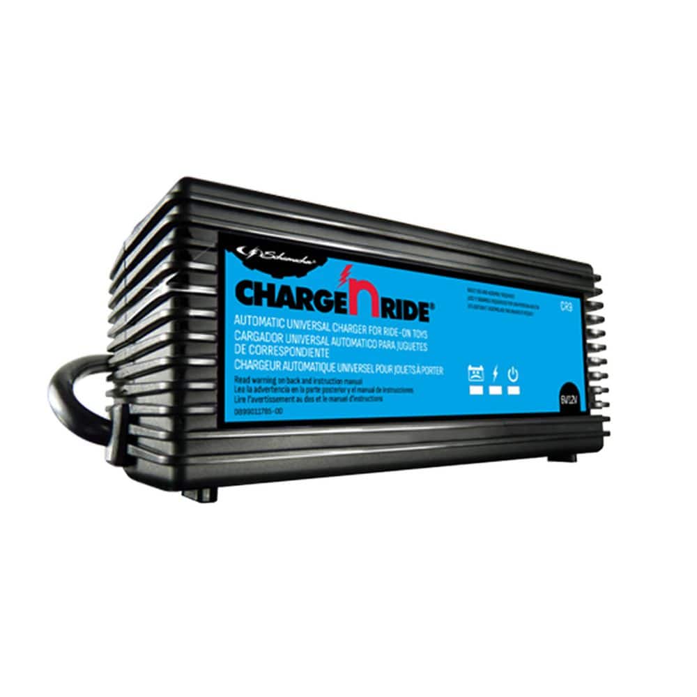Charge 'n Ride 3A Battery Charger for Ride-on Toys, With 5 Included Connectors, Compatible with Most Brands, 6V, 12V price history on PriceWatchPro