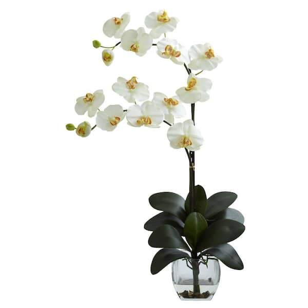 Nearly Natural Double Phalaenopsis Orchid with Vase Arrangement in Cream