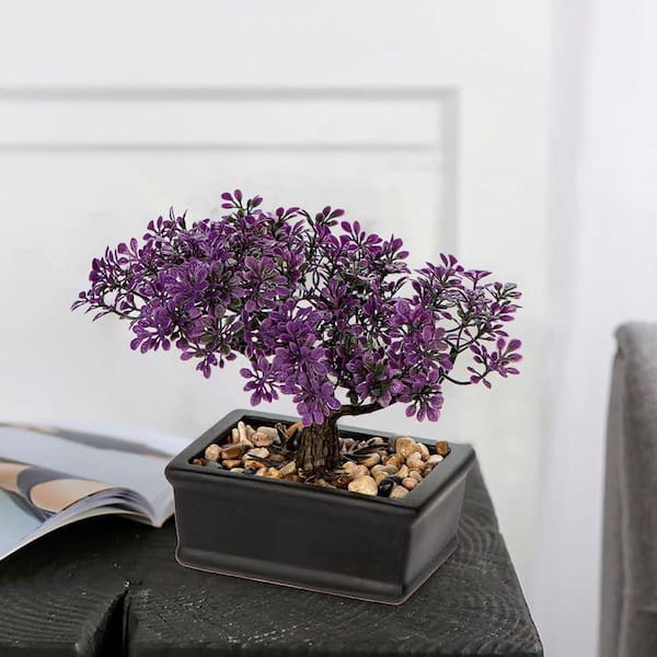 lucky money tree Lucky Money Tree Topiary Arrangement  Rolling Greens