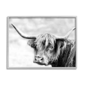 Bold Country Cattle Photography Wild Animal By Danita Delimont Framed Print Animal Texturized Art 16 in. x 20 in.