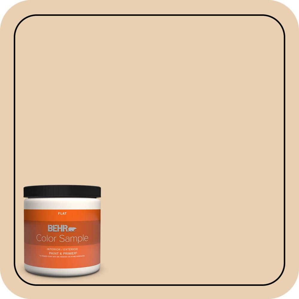 8 oz. #S290-2 White Bean Hummus Flat Interior/Exterior Paint & Primer Color Sample price history on PriceWatchPro