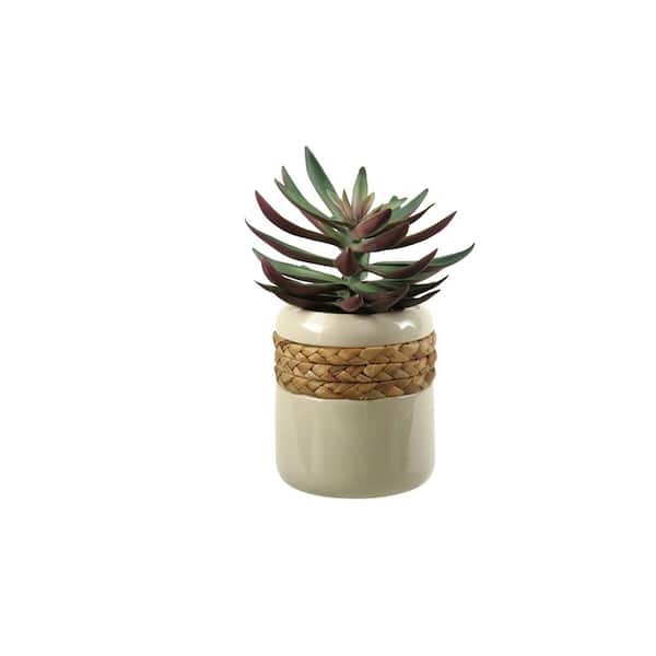 D&W Silks Artificial Indoor Green and Plum Echeveria in Ceramic Planter