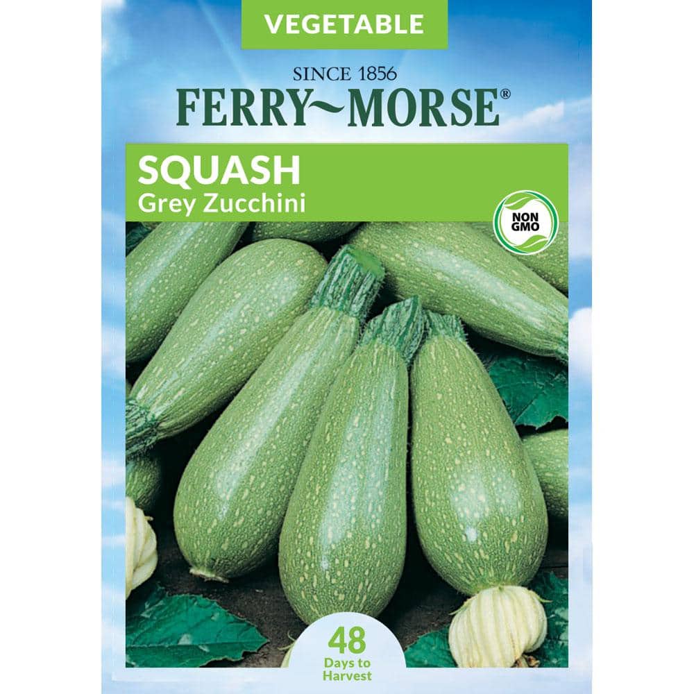Ferry-Morse Squash Grey Zucchini Fruit Seed 7671 - The Home
