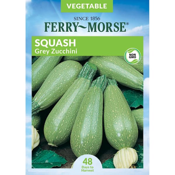 Ferry-Morse Squash Grey Zucchini Fruit Seed