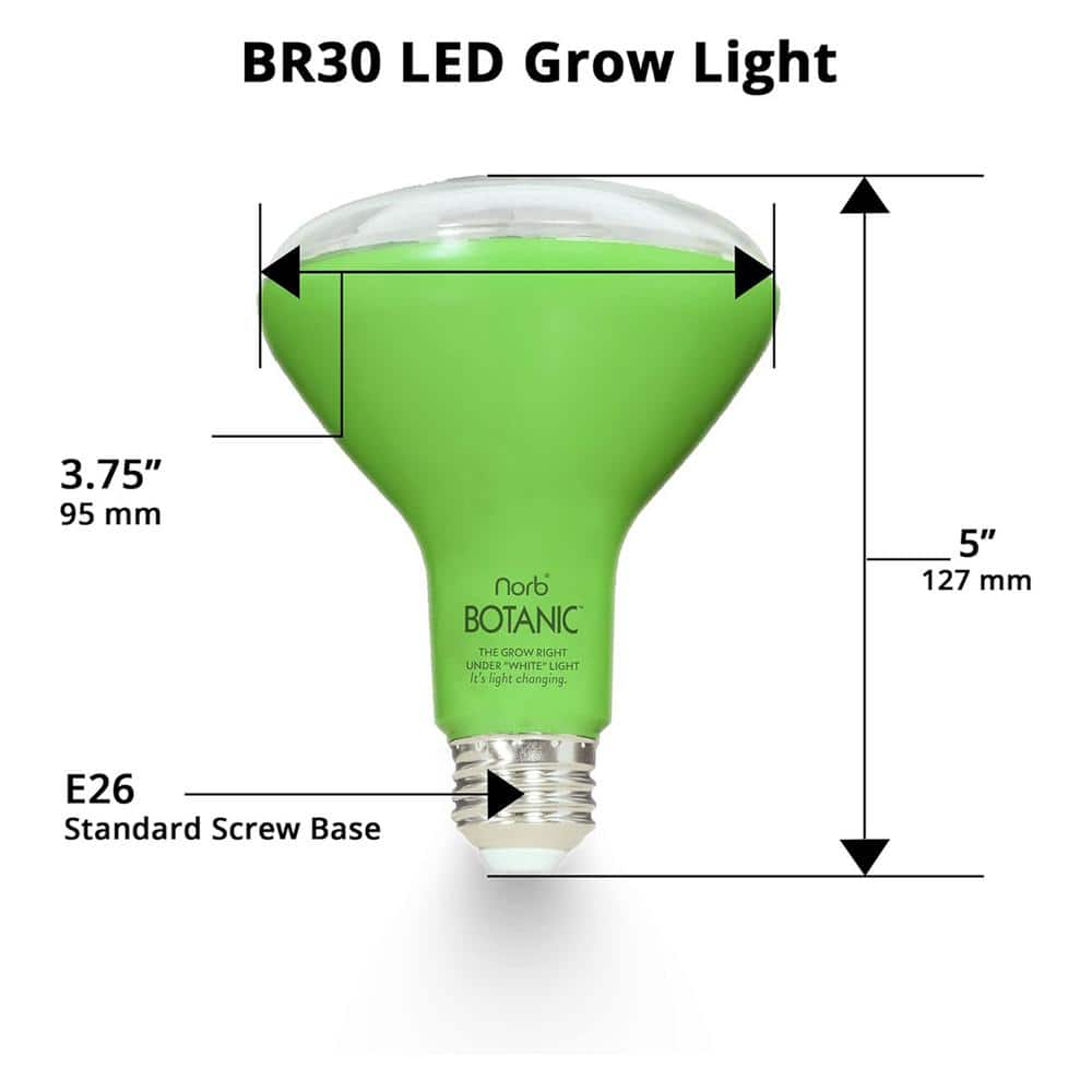 NorbBOTANIC 14W Green LED Grow Light Bulb 2-Pack