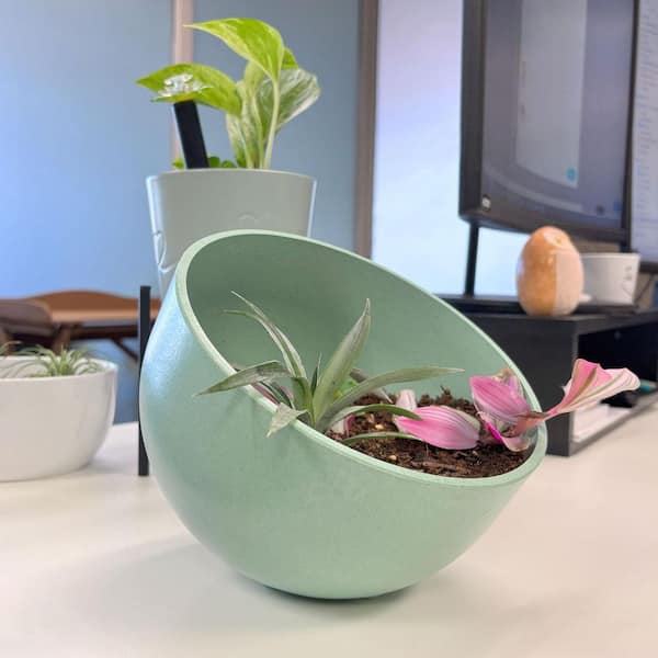 Bamboo-Blooms 7 in. Sage Green Orbital Bamboo Planter, 6.5 in. H x 7 in. L x 7 in. W