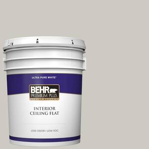 5 gal. #790C-3 Dolphin Fin Ceiling Flat Interior Paint