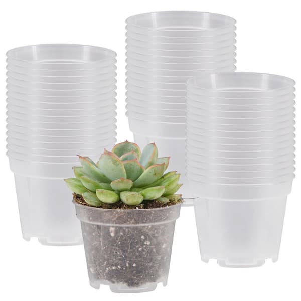 potted succulent arrangements 2" Assorted Succulents 64 Pack - Live Succulent Plants (64 Pack) Assorted  Potted Succulents Plants Live House Plants in Cacti and Succulent Soil Mix