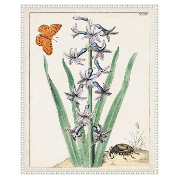 Amanti Art Dutch Florals I 23 in. W x 28 in. H. Canvas Wall Art Print Framed in White