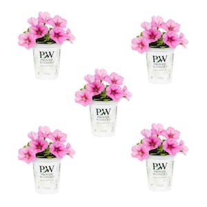 1.5 Pt. Proven Winners Supertunia Vista Bubblegum Pink Petunia Annual Plant (5-Pack)