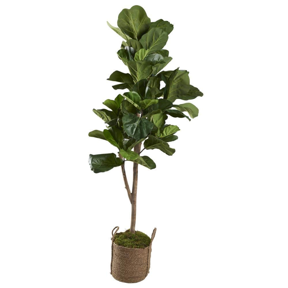 Indoor Artificial 7 Fiddle Leaf Fig Tree In Round Natural Jute Basket