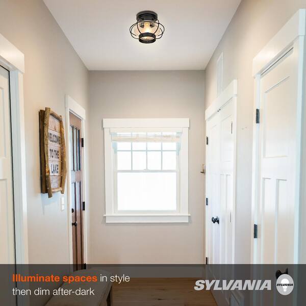 sylvania essex cage light