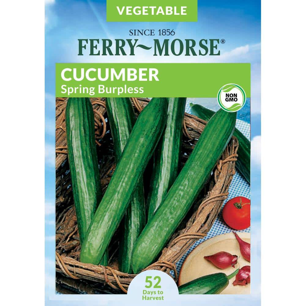 Ferry Morse Cucumber Spring Burpless Fruit Seed 0829 The Home Depot