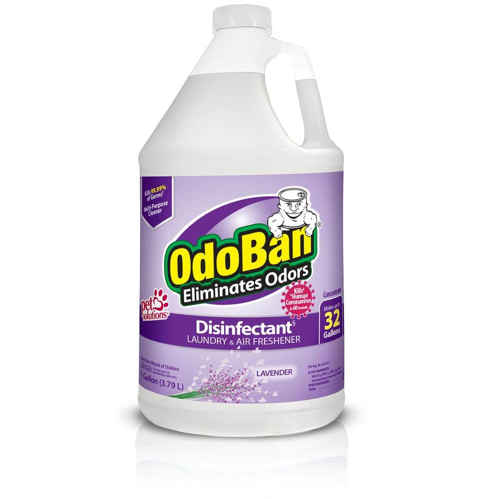 OdoBan 1 Gal. Lavender Disinfectant and Odor Eliminator, Fabric Freshener, Mold Control, Multi-Purpose Cleaner Concentrate -  911101-G