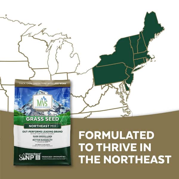 Mountain View Seeds MVS Northeast Mix 20 lbs. 112015 - The Home Depot