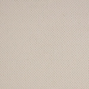 Abbottsgate Creamy Beige 44 oz. Triexta Patterned Installed Carpet