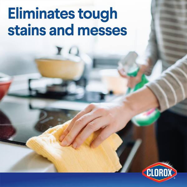 Clorox® Clean-Up® Disinfecting Bleach Cleaner Spray