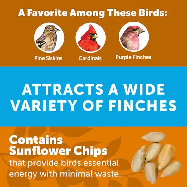 Premium 10 lb. Wild Finch Bird Seed Food (2-Pack)