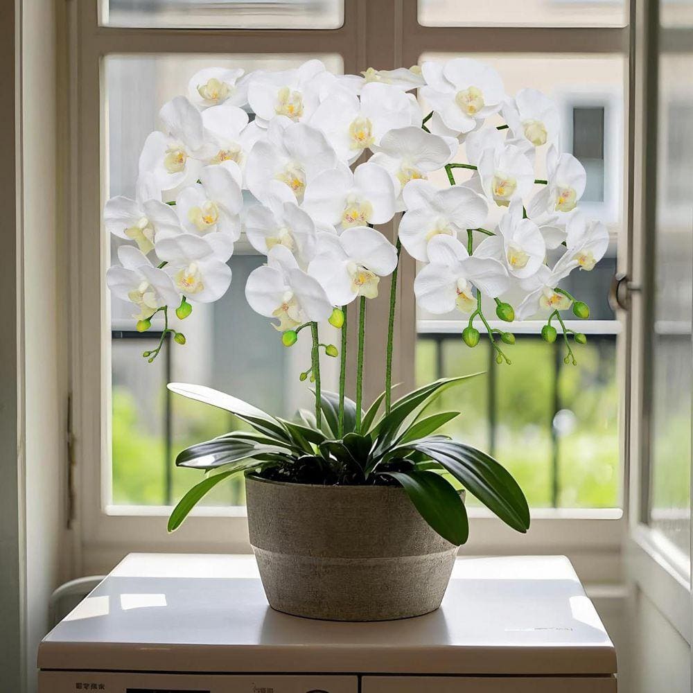 アドニシス　3Dフラワーメッシュプルオーバー　ホワイト　立体 38 in. White Indoor Artificial Orchid Flower Z07D13NM86 - The Home