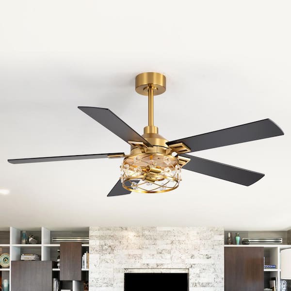 Tottel 52 in. 2-Light Indoor Polished Gold Downrod Ceiling Fan with Light Kit, 5 Black/Brown Blades and Remote Included