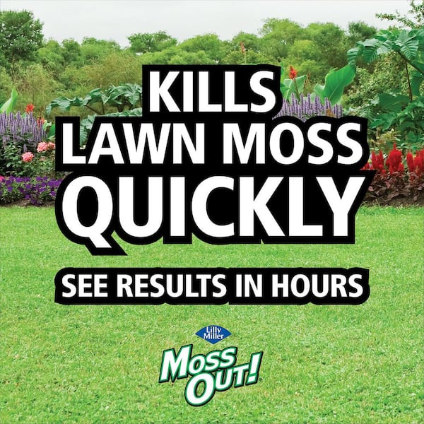 5 lb. 1,250 sq. ft. Lawn Moss Killer Granules Spot Treatment