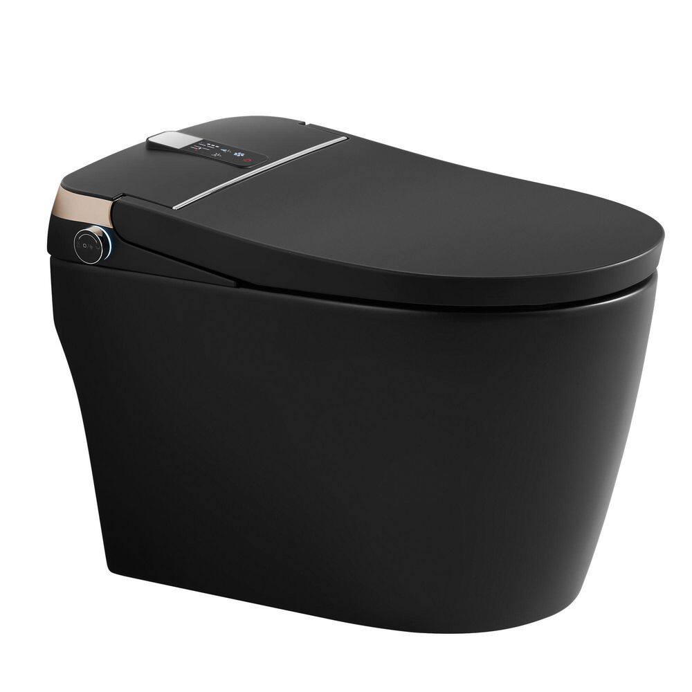 Elongated Smart Toilet Bidet with Bidet, Heated Seat, Foot Sensor, Auto Open/Close and Remote 1.28 GPF in Matte Black price history on PriceWatchPro