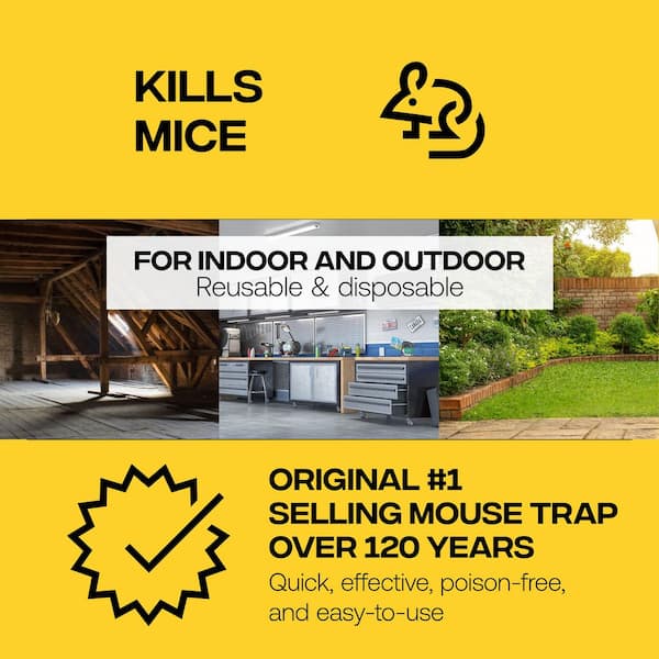 Metal Pedal Indoor and Outdoor Sustainably Sourced FSC Wood Snap Mouse Trap (4-Count)