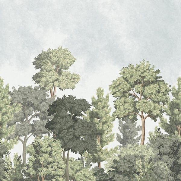 19.60 in. x 0.03 in. Green Delamere Wall Mural