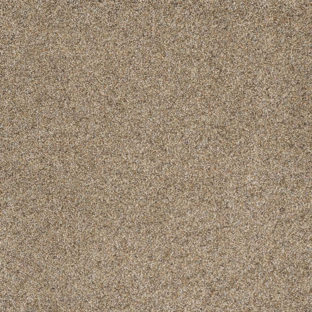 8 in. x  8 in. Texture Carpet Sample - Bradmore II -Color Fresh price history on PriceWatchPro