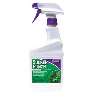Sucker Punch, 16 oz. Ready-to-Use Spray, Control Unwanted Plant Sprouts, Plant Growth Regulator for Home Garden