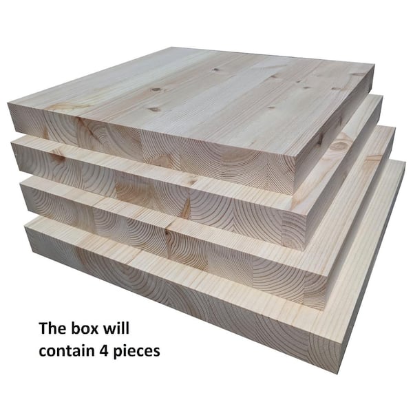 1 in. x 1 ft. x 1 ft. Allwood Pine Project Panel (4-Pack) EGP4