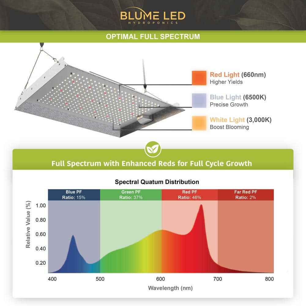 Blume 150-Watt Full Spectrum LED Grow Light with Daisy Chain