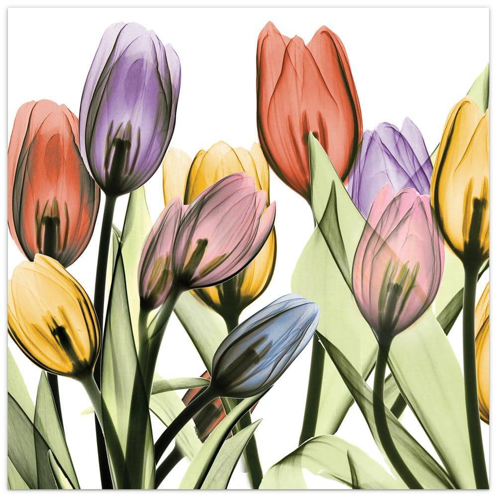 TULIP (原画) 額付 empire-art-direct-art-