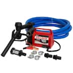 12-Volt 1/5 HP 10 GPM Portable Fuel Transfer Pump with Standard Accessories