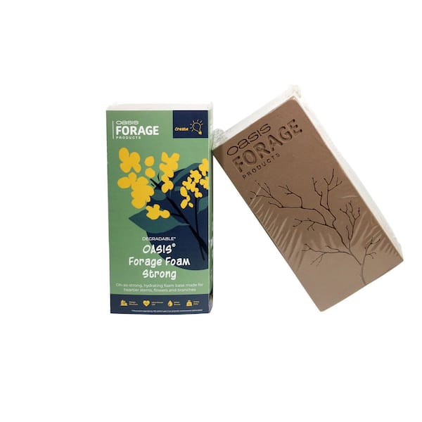 Forage Floral Foam, Strong, Brown (4-Pack)