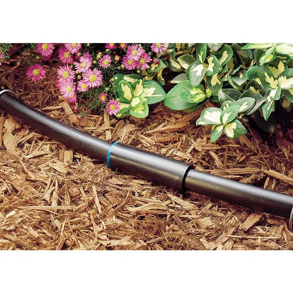 Rain Bird 1/2 in. Compression Coupling for Drip Tubing (fits