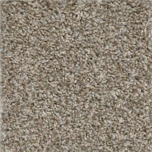 Montrose  - Sonic - Beige 35 oz. SD Polyester Texture Installed Carpet