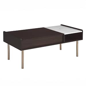Carrie 47 in. Brown & White Marble Rectangle Cocktail/Coffee Table with Lift Top
